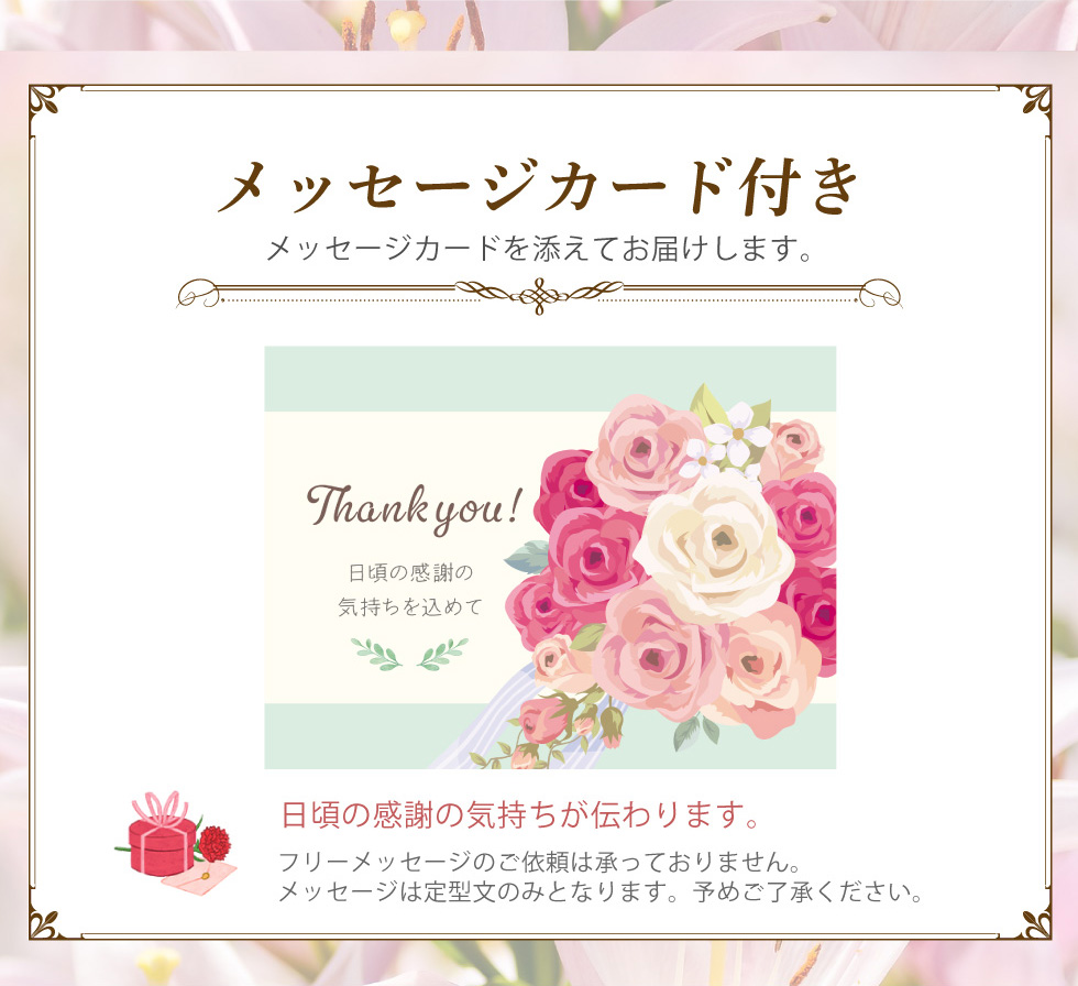 母の日 花 鉢植え 花鉢 鉢 プレゼント 人気...の詳細画像5