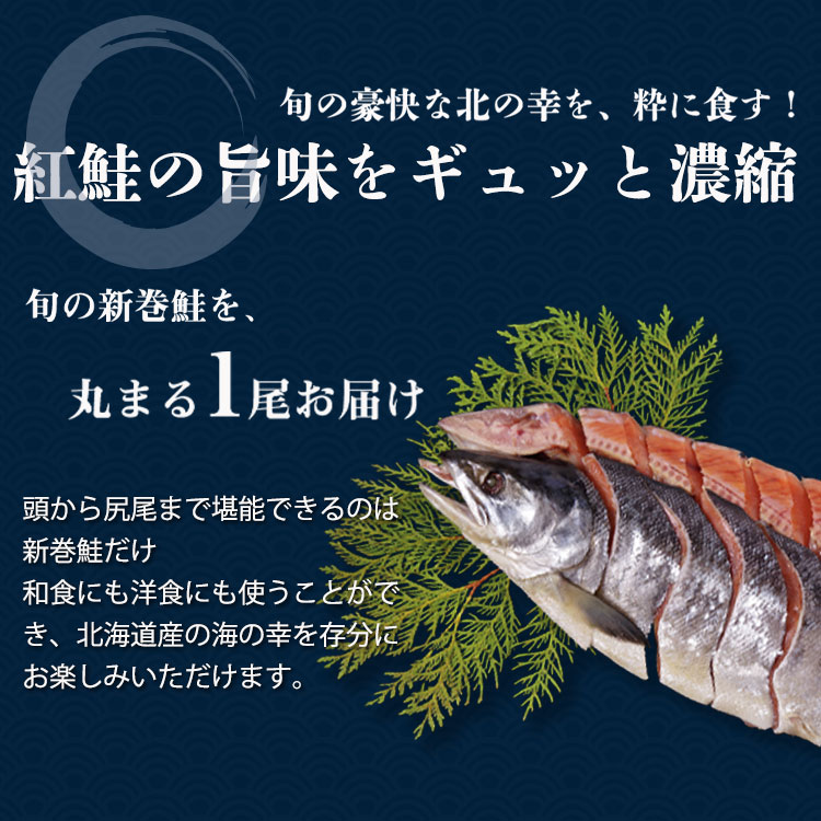お歳暮 御歳暮 冬ギフト プレゼント 2025 送料無料 北海道産 新巻鮭姿