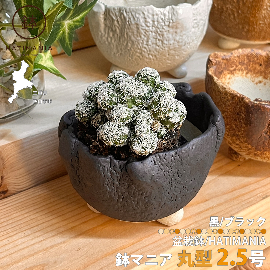 盆栽鉢 丸鉢 黒釉 (2.5号(約8.5 センチ)) 四日市萬古焼 山