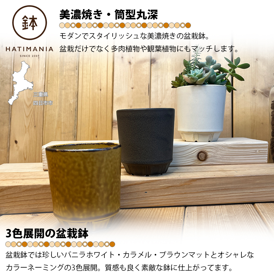 大型 広東盆栽鉢