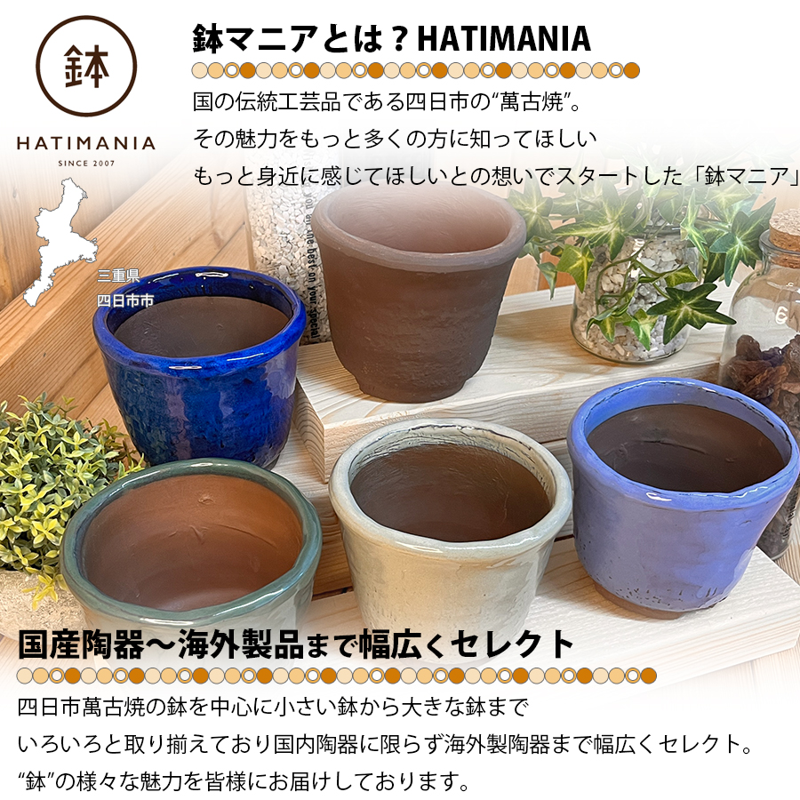 伊万里　三鉢　M583 伊万里三つ鉢（S055）
