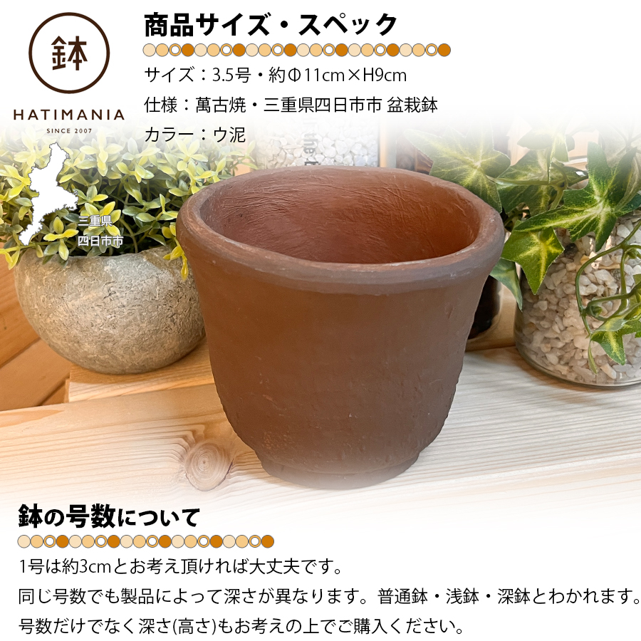 萬古不易鉢 萬古焼