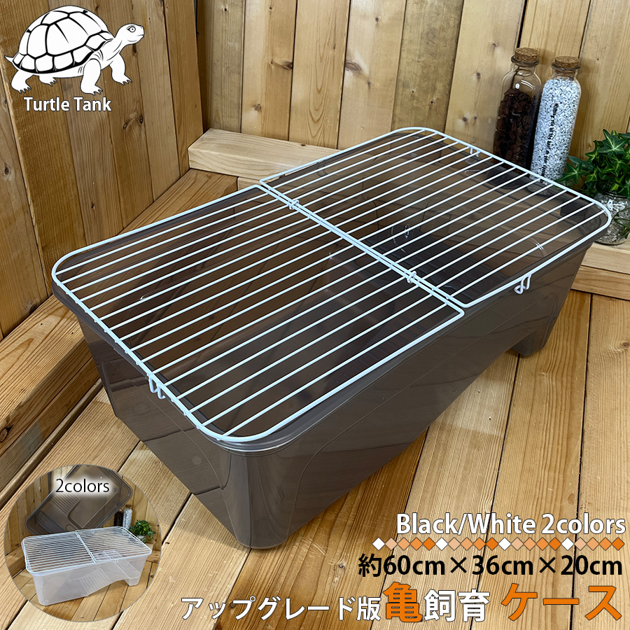 亀飼育ケース (中) タートルタブ 排水口付き タートルタンク 蓋