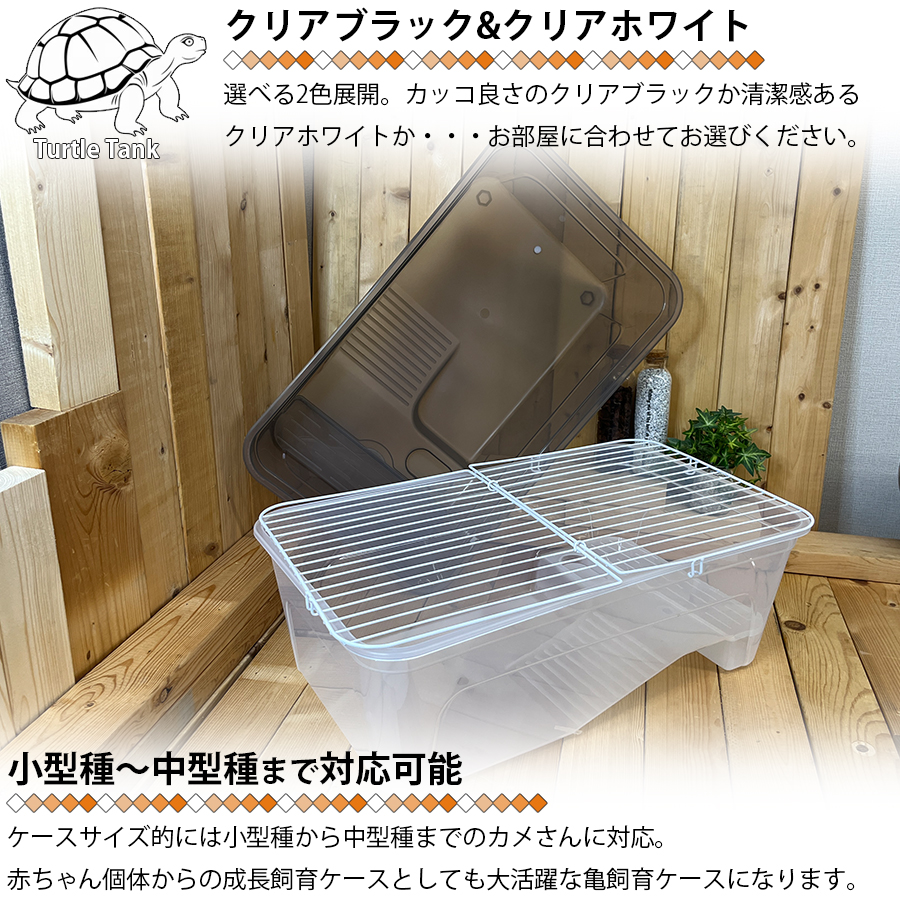亀飼育ケース (中) タートルタブ 排水口付き タートルタンク 蓋