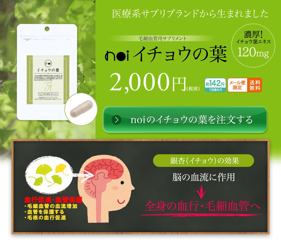 医療系サプリブランドから生まれました noi イチョウの葉エキス サプリメント 銀杏の効果