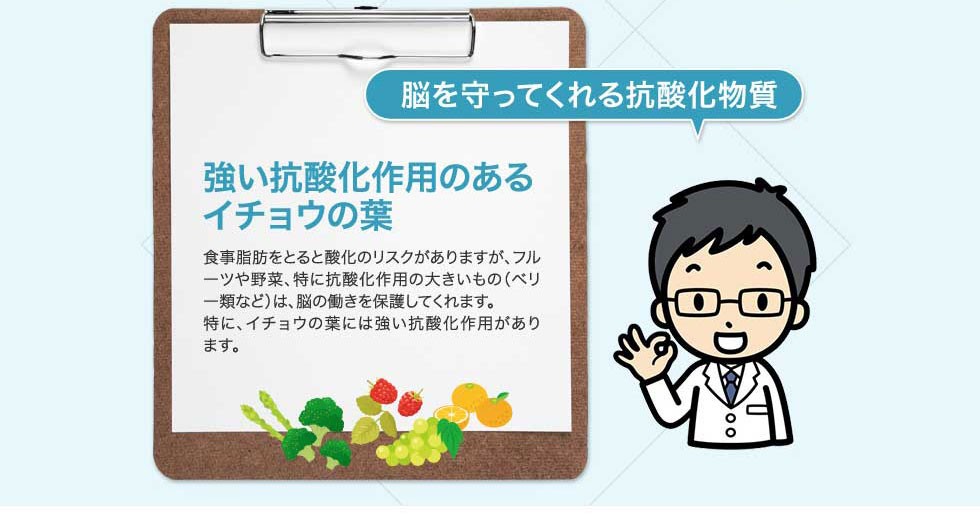 強い抗酸化作用のあるイチョウの葉