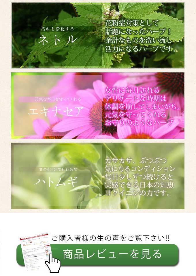 Lサポートがリピートされる理由　濃度と品質　成分の質と量にこだわり　noiのサプリは各成分量を多めに、原産国や品質が明確な高いグレードの高級ハーブを厳選して使用。 2 安全　素材から賦形剤まで全てが安心安全の配合　素材は安心の植物由来、賦形剤（固める成分）は身体にやさしい成分を最低限の量で。だから安心して続けられる。 3 余計な添加物は一切不使用　徹底したレシピ　ドクターサプリから誕生　効果が半減する糖衣剤は一切不使用。医療関係者であった管理栄養士が徹底したレシピで、成分に適した形状で作られています。