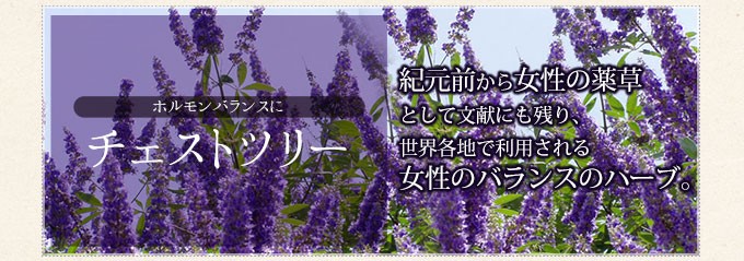 ホルモンバランスにチェストツリー　紀元前から女性の薬草として文献にも残り、世界各地で利用される女性のバランスのハーブ。