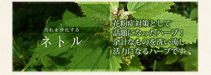 花粉症対策として話題になったハーブ！余計なものを洗い流し活力になるハーブです。