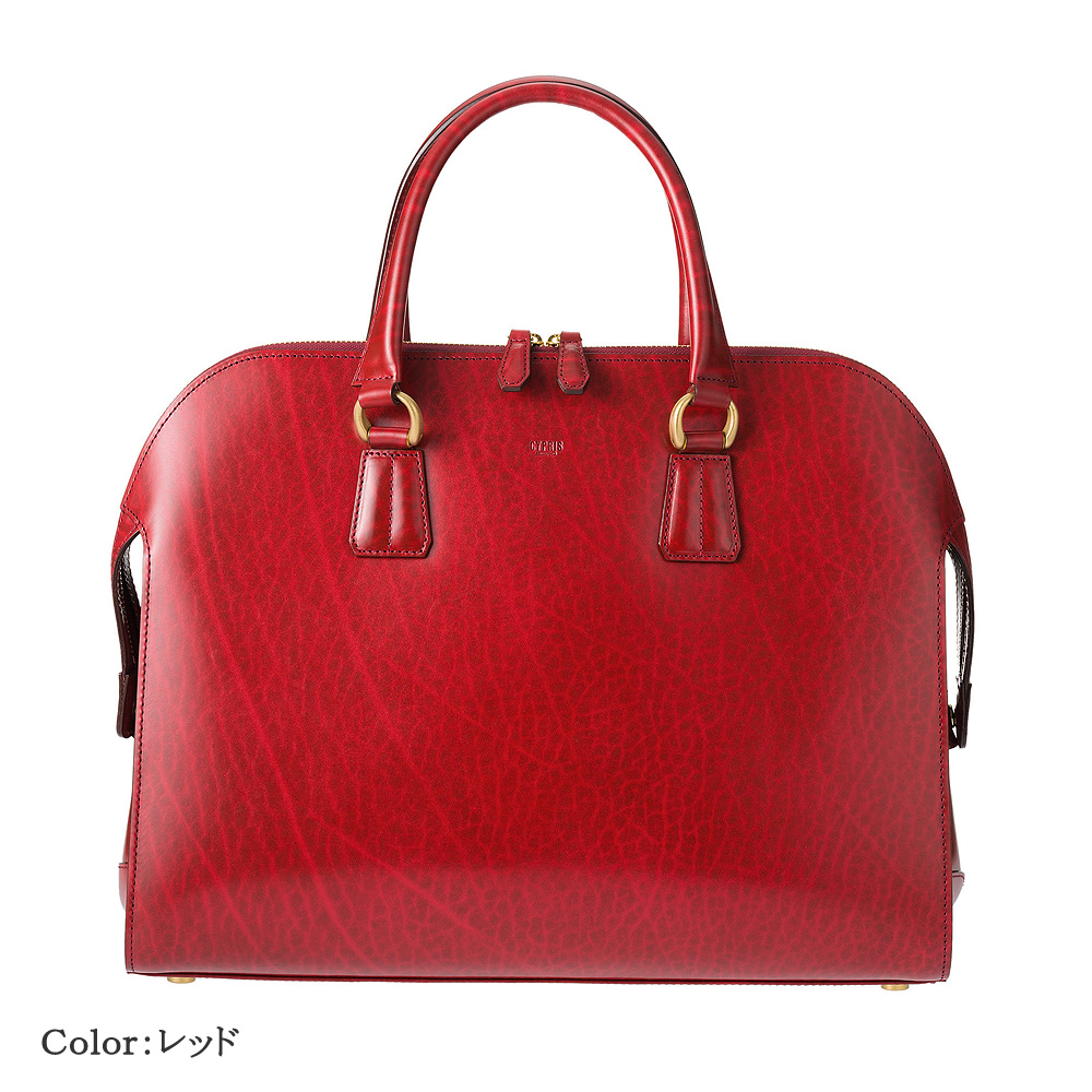 キプリス CYPRIS ブガッティ型ブリーフ ルーガショルダー 本革 日本製 ブランド ルガード ビジネス 鞄 6295 | CYPRIS | 02