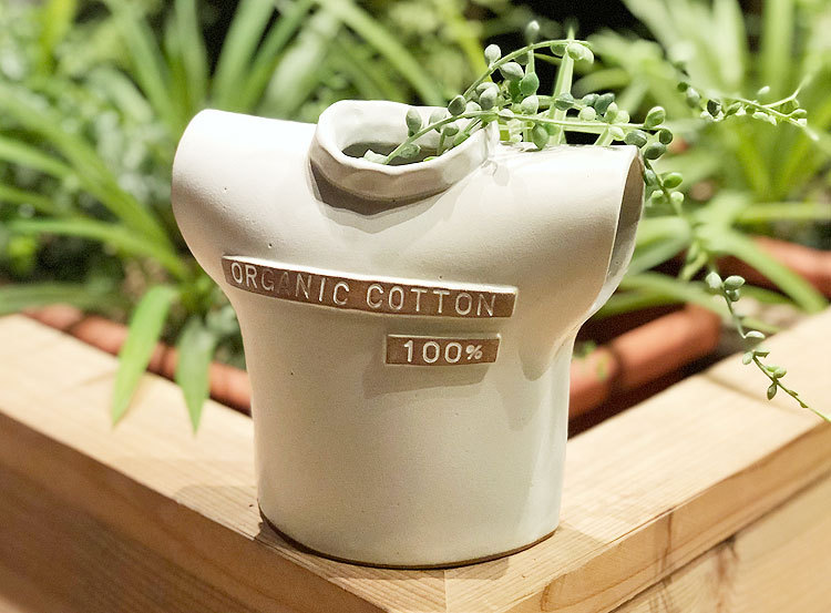 ブラウンバイツータックス/BROWN by 2-tacs】オーガニックコットン100