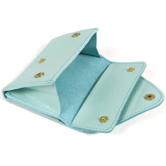 IL BISONTE（イルビゾンテ） カードケース 限定カラー上下フラップ