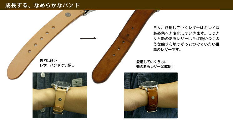 IL BISONTE（イルビゾンテ） 腕時計 リストウォッチバンド(メンズ