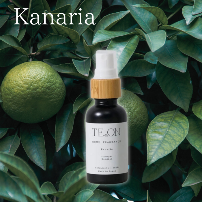 TE.ON　ホームフレグランス　ルームフレグランス　100％天然素材　 |  | 01