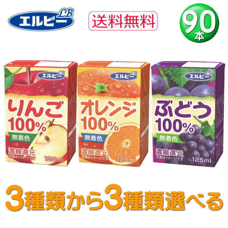 73％以上節約 エルビー おいしい果実酢100 ざくろミックス 125ml紙パック×24本入× 2ケース 送料無料 飲む酢 ざくろ 紙パック 酢飲料 お 酢 qdtek.vn