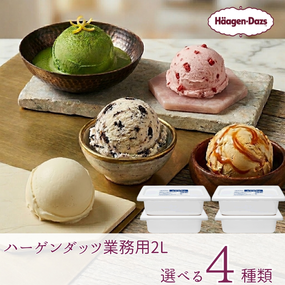 ハーゲンダッツ業務用2L 4個入り 6種類から選び放題 バニラ グリーン