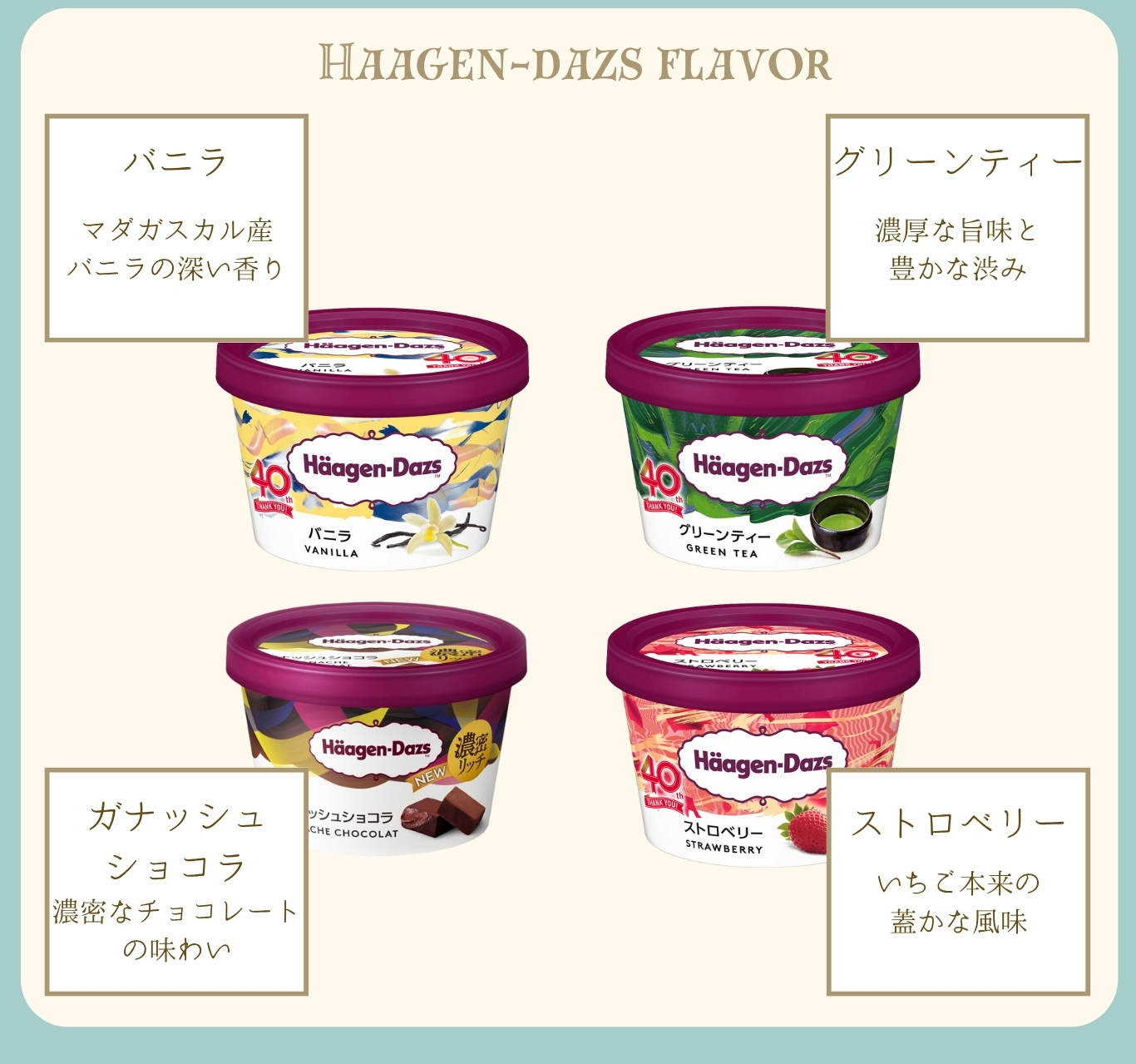 アイス ギフト ハーゲンダッツ（4種） アイスクリーム・シュー皮 （2種