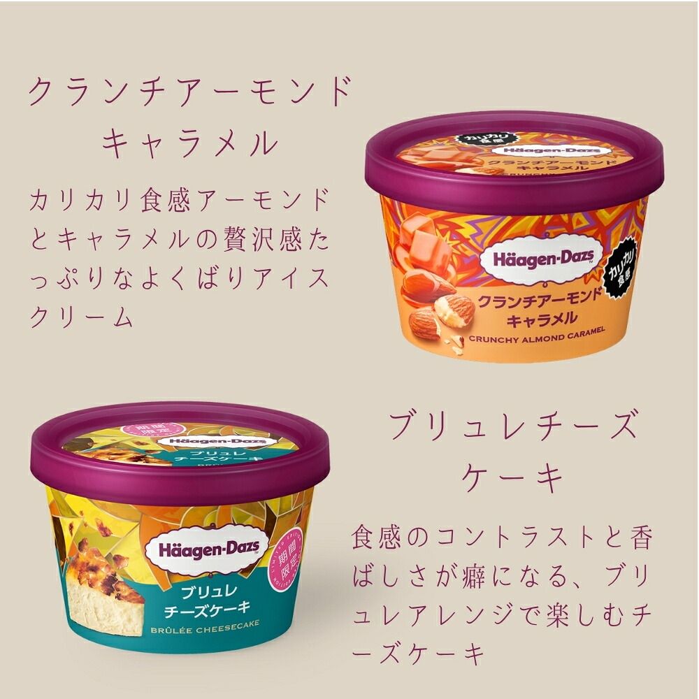 敬老の日 夏ギフトハーゲンダッツ アイスクリーム ミニカップギフト