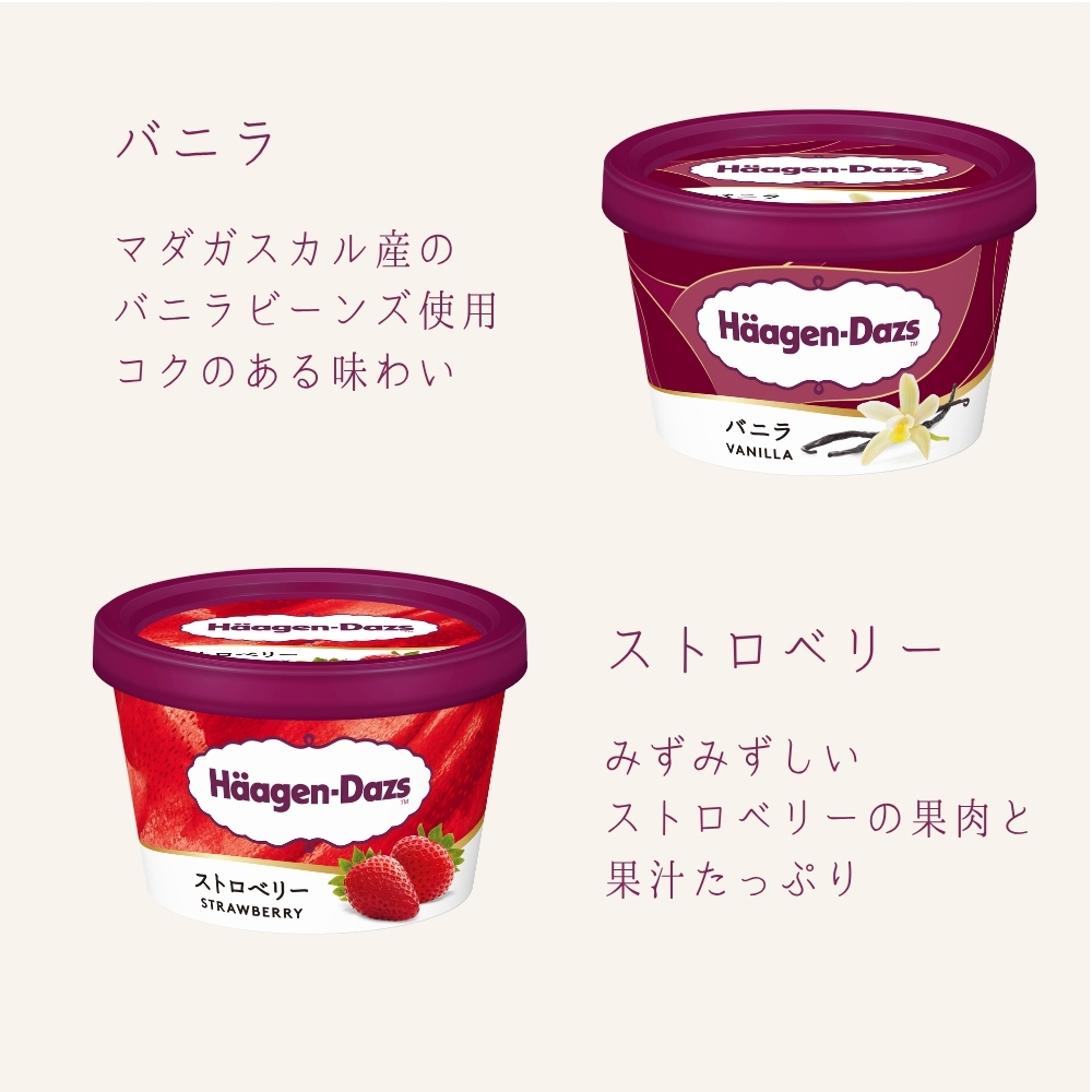お中元 夏ギフトハーゲンダッツ アイスクリーム ミニカップギフト