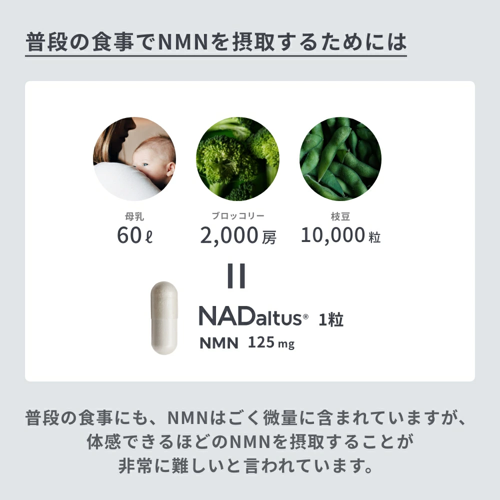 公式】NADaltus (ナダルタス) (NMN 3,750 mg /30粒) NOMON ノモン NMN ニコチンアミドモノクレオチド サプリメント  高純度 高含有 純国産 日本製 : 10001 : NOMON SHOP - 通販 - Yahoo!ショッピング