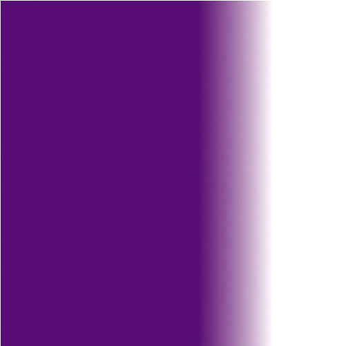 紫