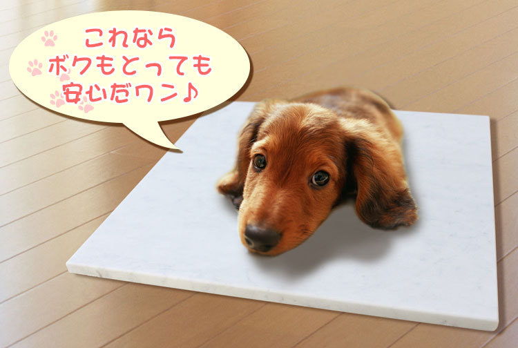ひんやりマット ペット用 わんこストーン クール マット ベッド