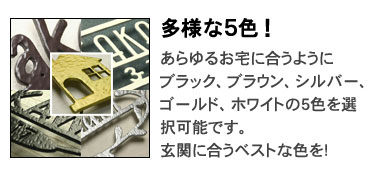 多様な5色