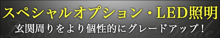 スペシャルオプション・LED照明