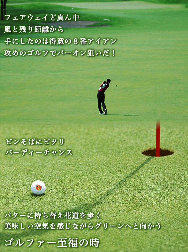 ステンレス切り文字グリーンフォーク