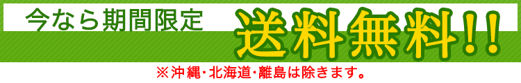 送料無料