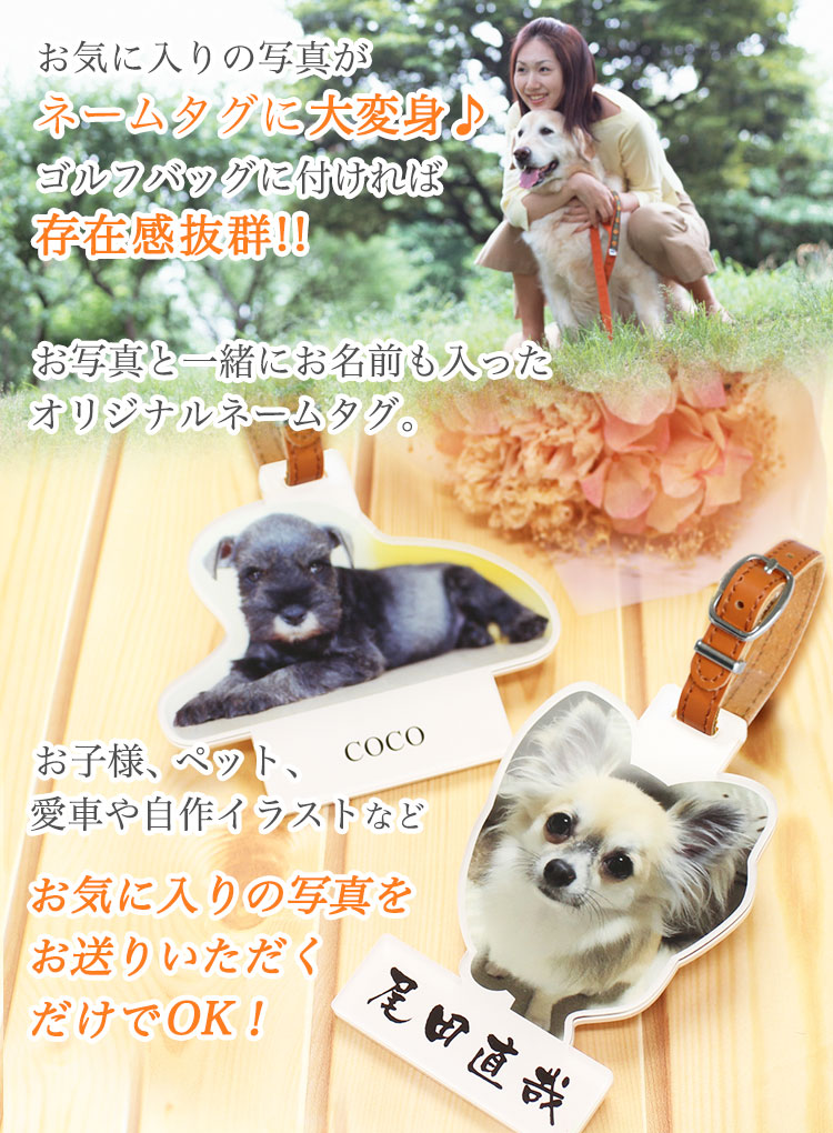 お気に入りの写真で作る