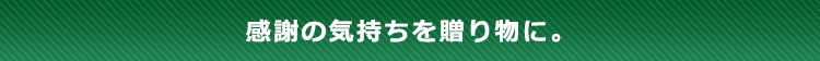 テニスラケット用ソフトケース