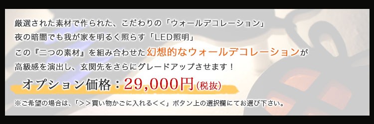 スペシャルオプション・LED照明