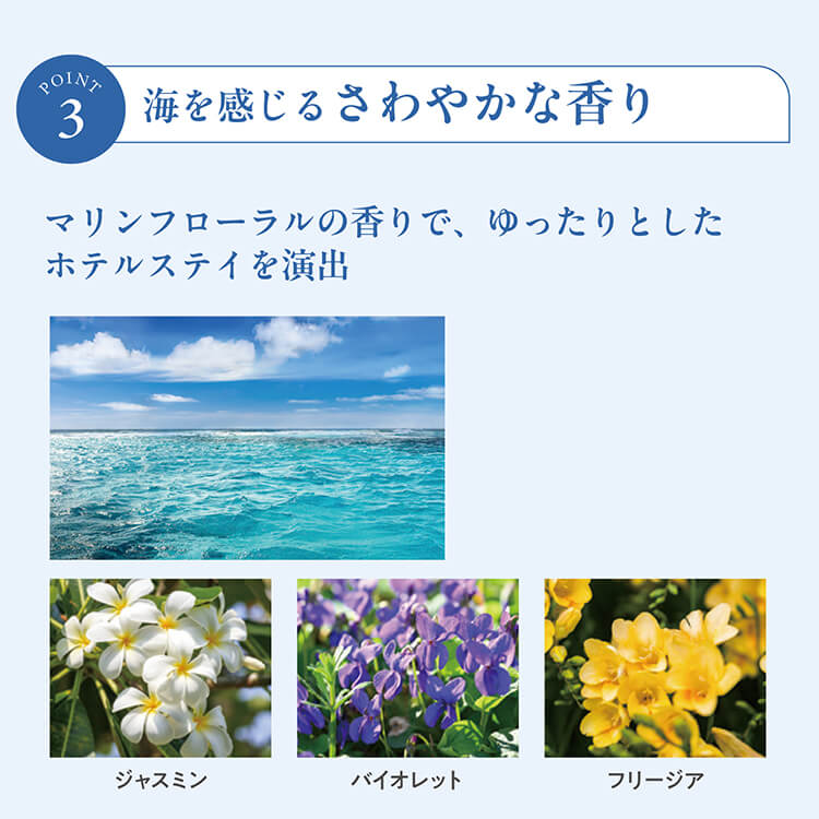 SARAYA（サラヤ） 【法人様限定】サラヤ ラシュヴェール タラッサ