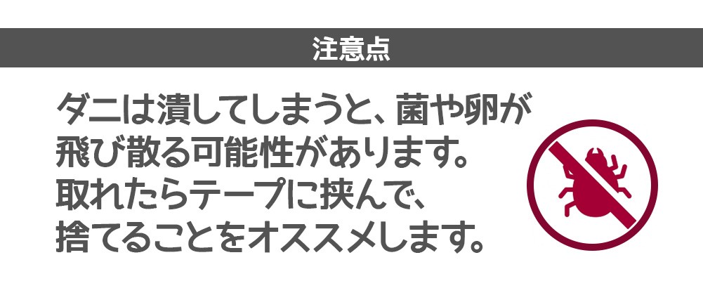 商品説明