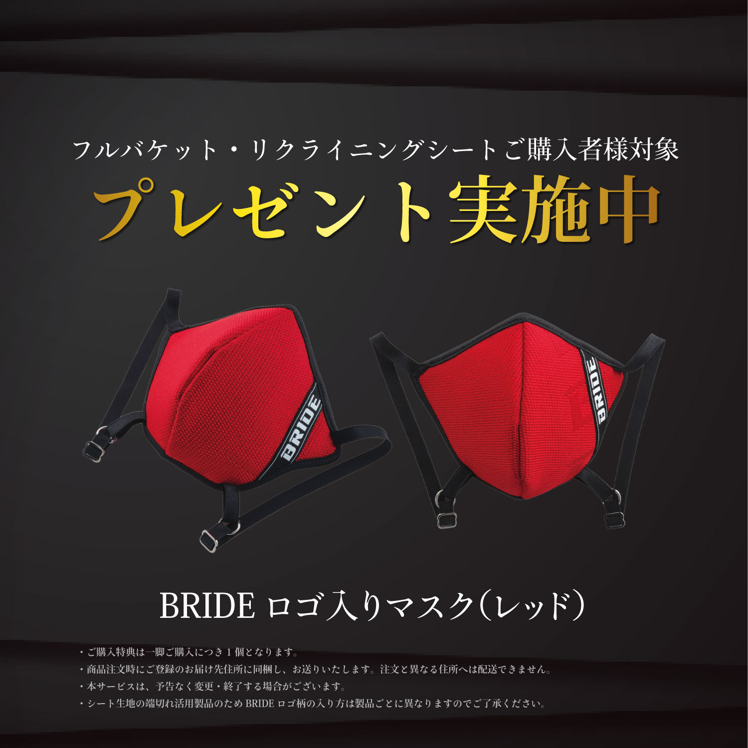 スターターキット付【新品】 ソウルオブシベリア　バードテール　No.1060 トグルスイッチ プレート01-2縦 | LT-PS002-03-G141 | スイッチ