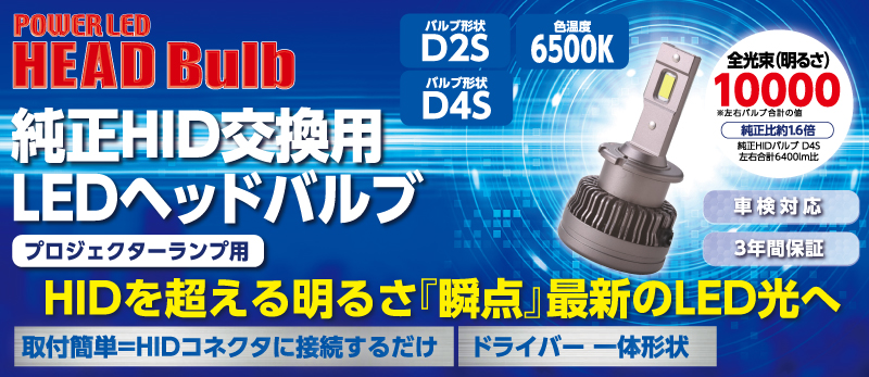 RG レーシングギア RGH-P910 純正HID交換用 LED ヘッドバルブ 【 D2S