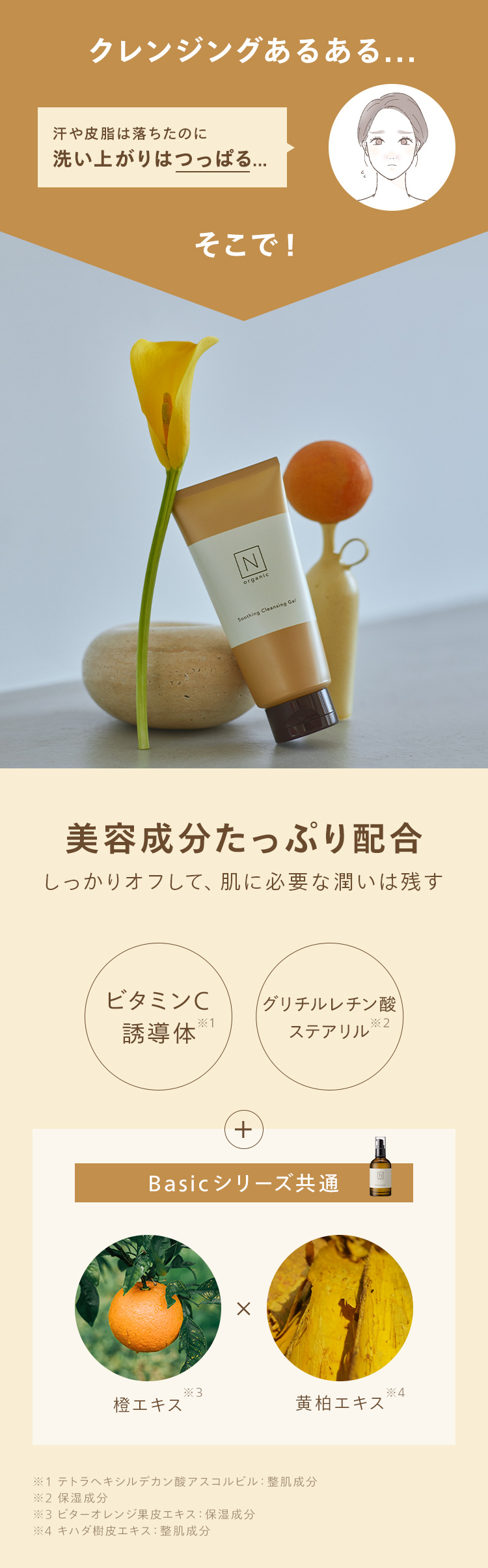 N organic（エヌオーガニック） Nオーガニック 公式 Basic スージング