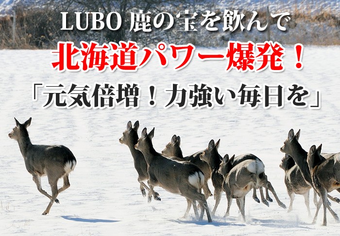 LUBOえぞ鹿の宝≪1本(50ml)≫ 北海道白糠産天然エゾ鹿肉酵素分解エキスに紫蘇(しそ)と生姜(生姜)を合わせた北海道パワー爆発の滋養強壮ドリンク！【02P12Oct15】