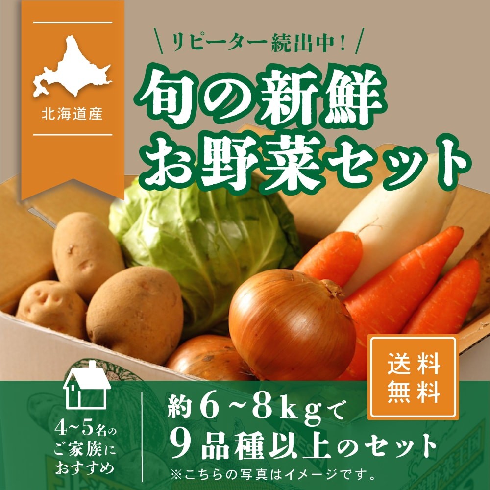 北海道産 野菜セット 旬の新鮮お野菜詰め合わせ 9品種以上 100サイズ 調理しやすい常備野菜がメインのつめあわせ :north02:North on  Table 通販 