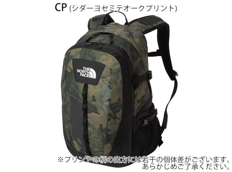 THE NORTH FACE（ザ ノースフェイス） THE NORTH FACE NM72302 ホット