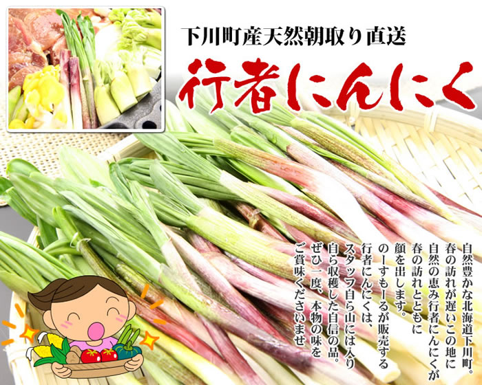 送料無料》スタッフ自ら下川町近郊の山奥で収穫した超天然行者にんにく