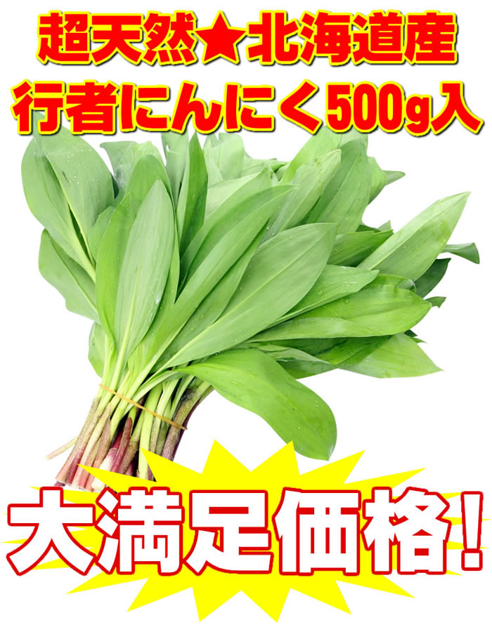 送料無料》スタッフ自ら下川町近郊の山奥で収穫した超天然行者にんにく