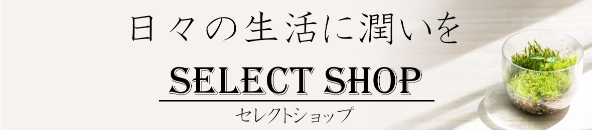 野佐和倶楽部 Yahoo!店 ヘッダー画像
