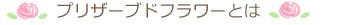 プリザーブドフラワーとは