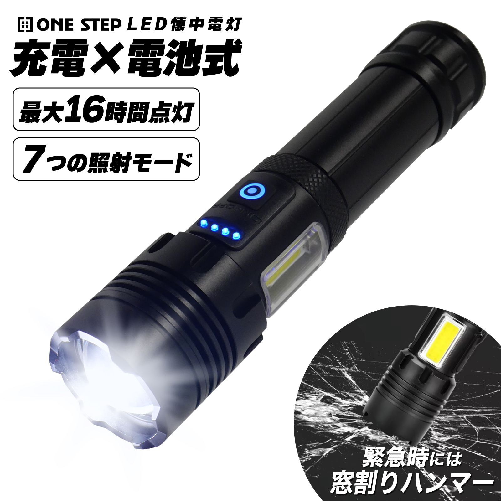 ledflashlight01.jpg