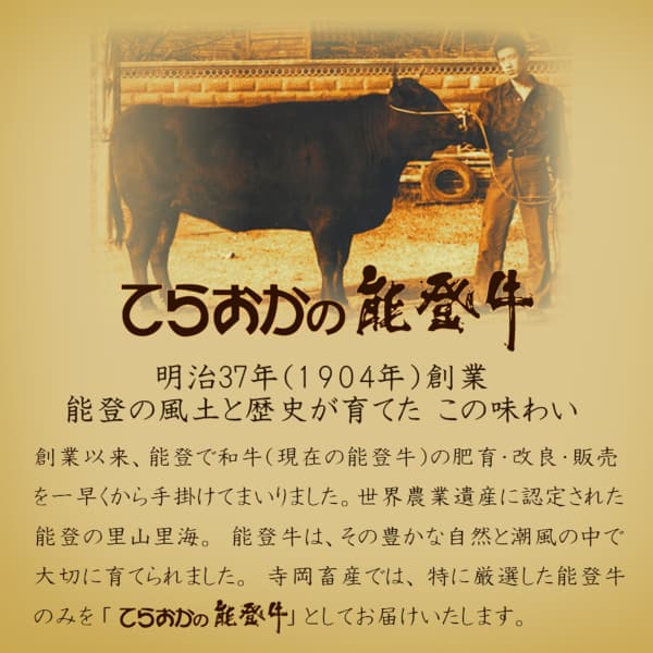 てらおかの能登牛