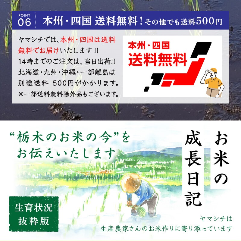 とちぎの星　未開封 Amazon.co.jp: パールライス 栃木県産 無洗米 とちぎの星 5kg 令