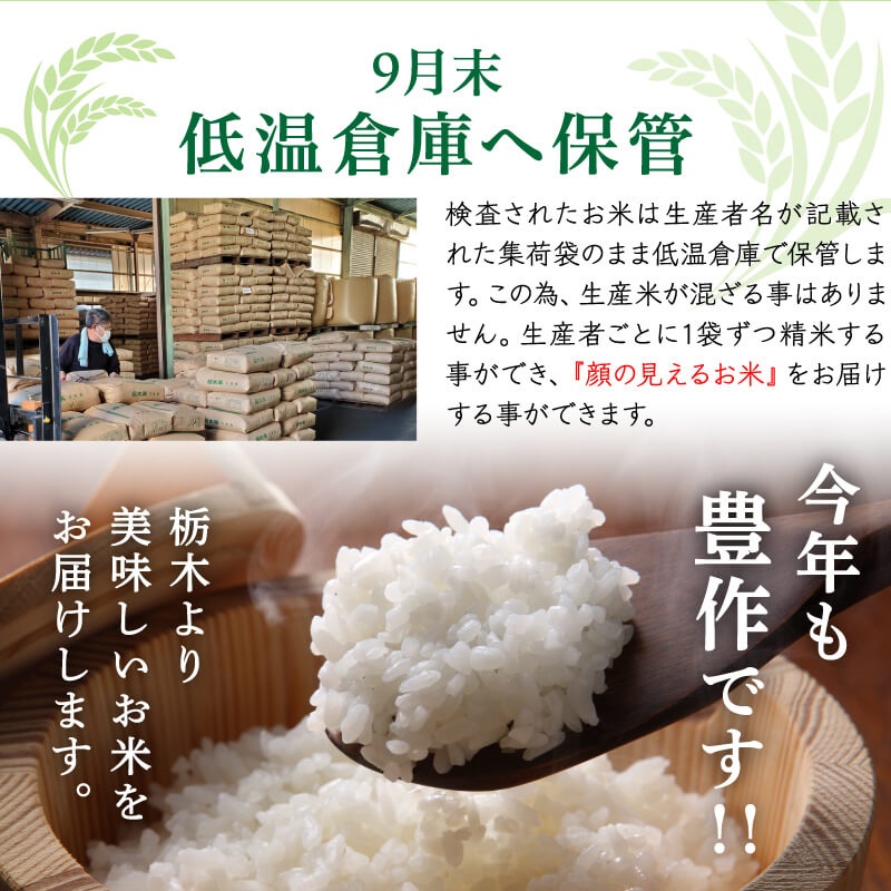 農家の店ヤマシチ - とちぎの星｜Yahoo!ショッピング