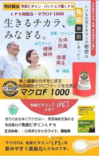 マクロファージさん専用 化粧箱入 約1ケ月分 パントエア菌LPS マクロF1000 mf1 60g